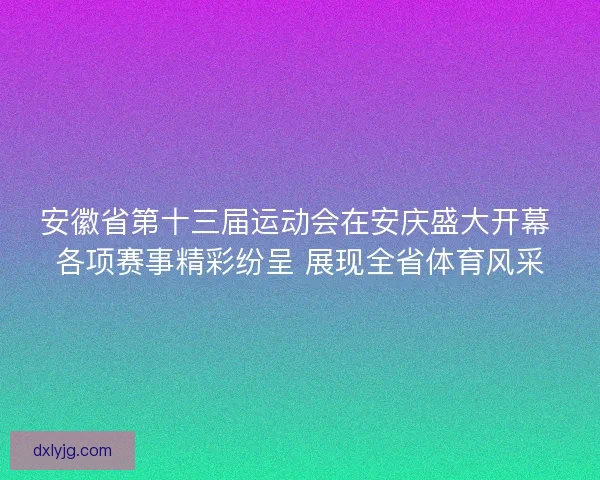 安徽省第十三届运动会在安庆盛大开幕 各项赛事精彩纷呈 展现全省体育风采