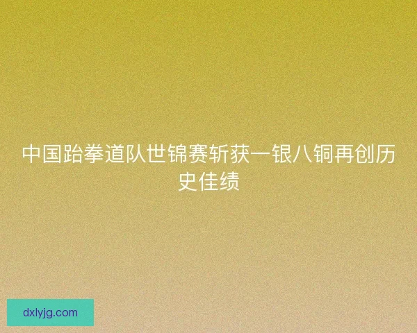 中国跆拳道队世锦赛斩获一银八铜再创历史佳绩
